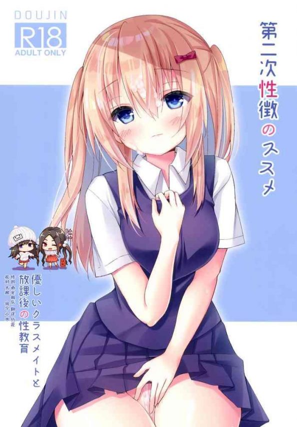 dainiji seichou no susume cover