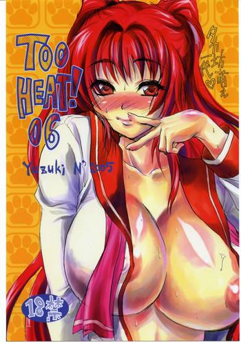too heat 06 cover