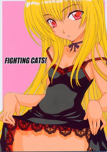 fighting cats cover