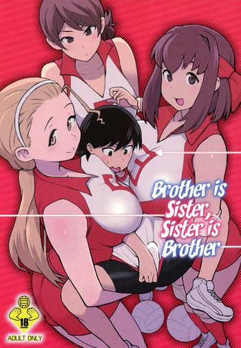 ani ga watashi de watashi ga ani de brother is sister sister is brother cover