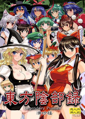 touhou inburoku touhou genital record cover