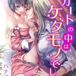 skirt no naka wa kedamono deshita ch 13 cover