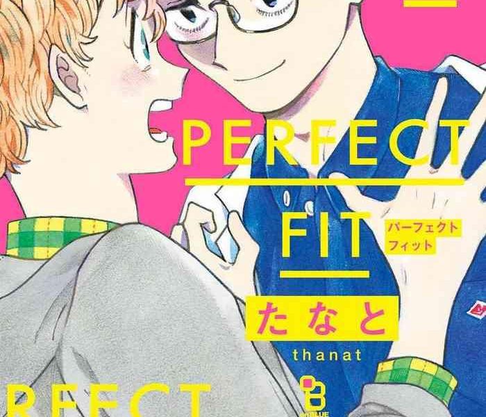 perfect fit ch 1 9 cover