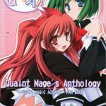 quaint mage x27 s anthology cover