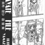 hayate file izumi miki risa gazoushuu cover